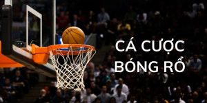 Cá cược bóng rổ 33win - Tăng cơ hội thắng mỗi trận đấu