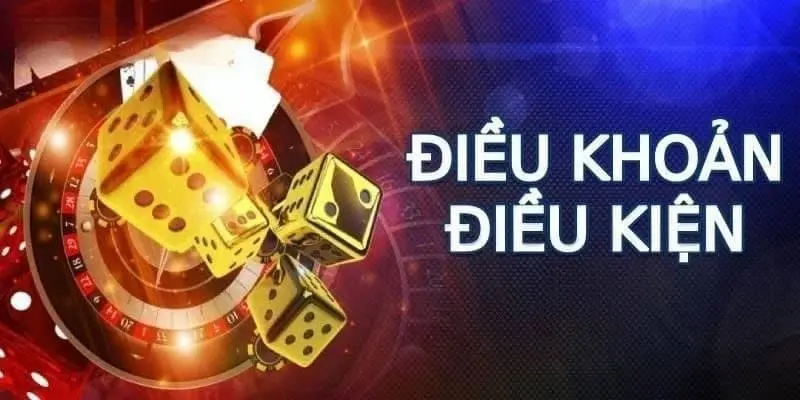 Tư vấn các câu hỏi về điều khoản điều kiện
