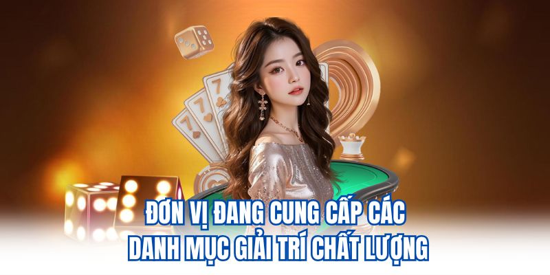 Đơn vị đang cung cấp các danh mục giải trí chất lượng