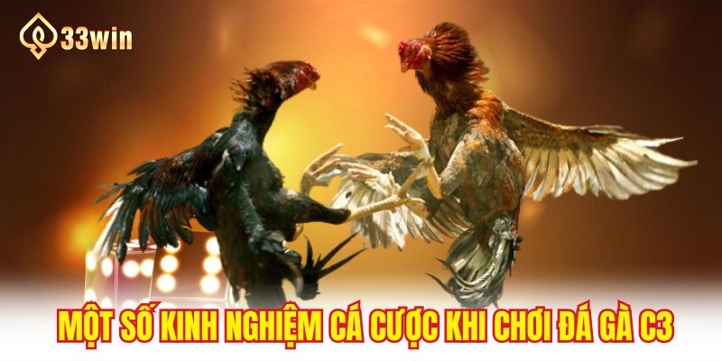 Một số kinh nghiệm cá cược khi chơi đá gà C3